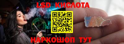 индика Гай