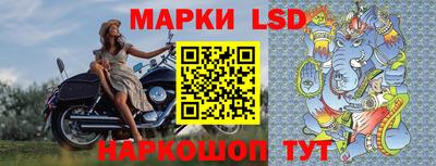 индика Гай