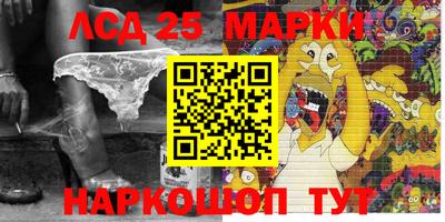 индика Гай