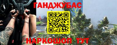 индика Гай