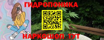индика Гай