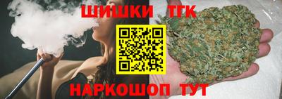 индика Гай
