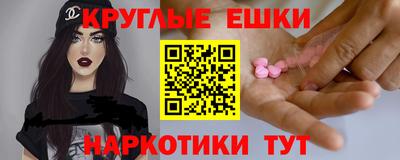 индика Гай