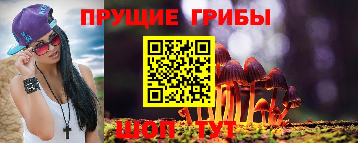 Псилоцибиновые грибы мицелий  Вход с VPN  Киров 